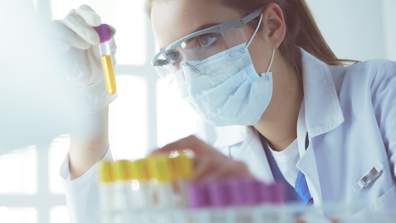 Imagem do fornecedor